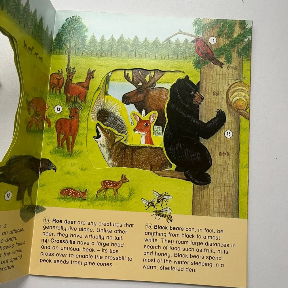 Vintage Windows on Nature Animal Books Set of 3